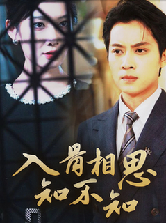 入骨相思知不知(66集全)俞隽逸&沈玥妡-搜外项目网