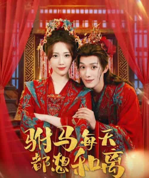 驸马每天都想和离(80集全)宋佩泽&徐东艺-搜外项目网