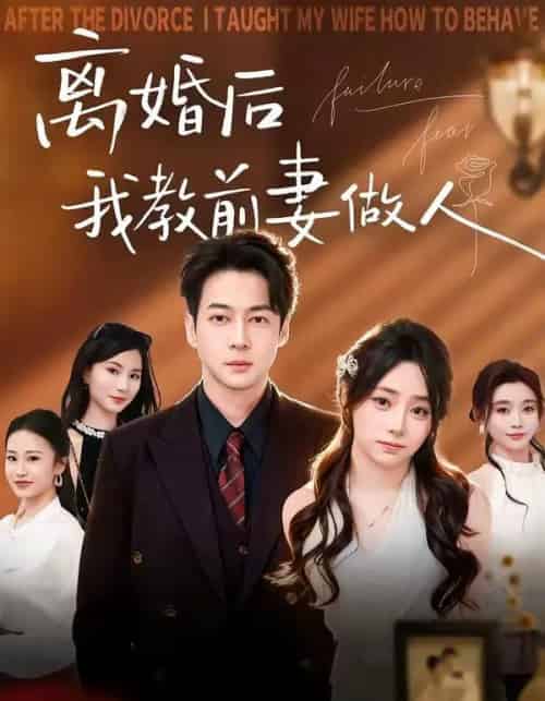 离婚后我教前妻做人（62集全）丁映智＆王子怡-搜外项目网