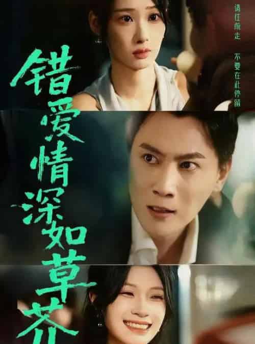 错爱情深如草芥(46集全)秦璐瑶&宋星瀚-搜外项目网