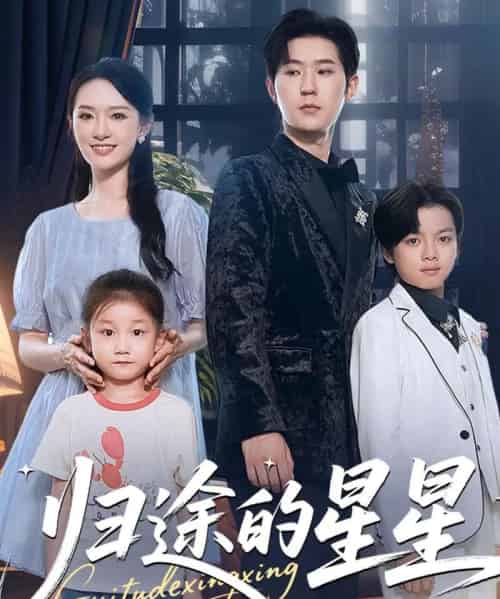 归途的星星（100集全）李河源＆任娄怡-搜外项目网