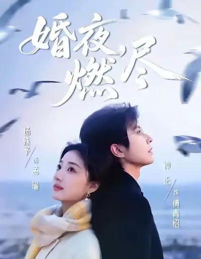 婚夜,燃尽(85集全)钟正&杨殊予-搜外项目网
