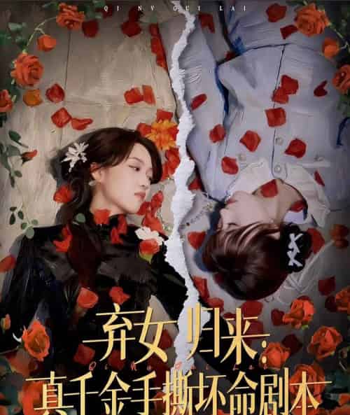 弃女归来:真千金手撕坏命剧本(42集全)王珊珊&夏婷-搜外项目网