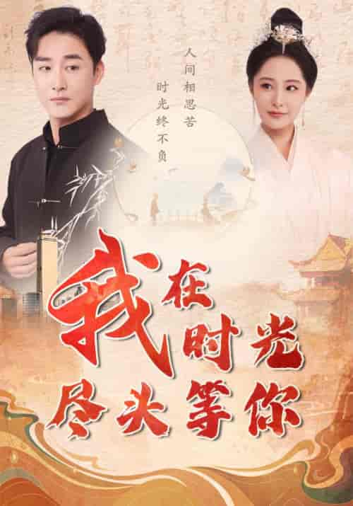 我在时光尽头等你（97集）张震-搜外项目网