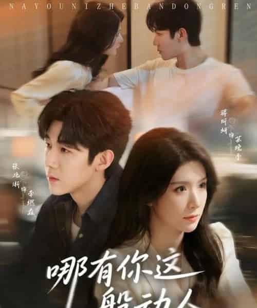 哪有你这般动人（70集全）张北淅＆蒋昕妍-搜外项目网