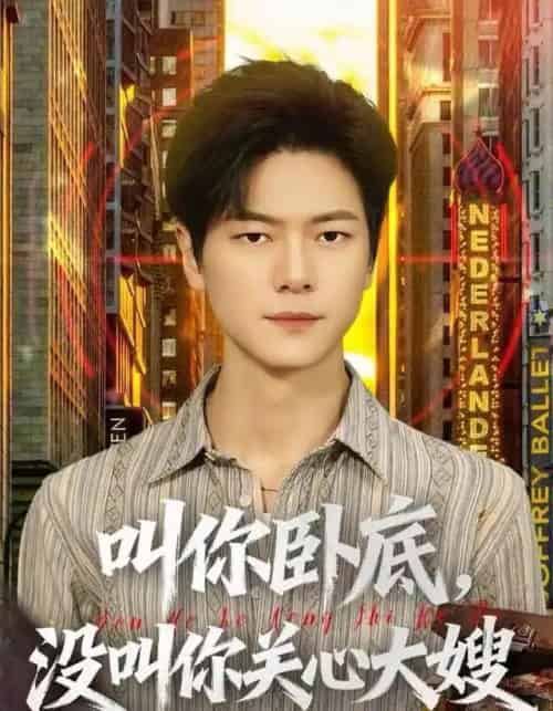 叫你卧底,没叫你关心大嫂(80集全)刘瀚阳&田诗园-搜外项目网
