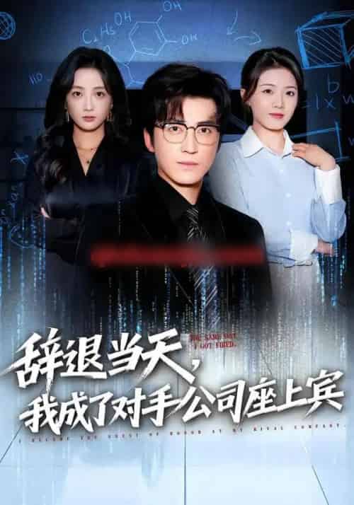 辞退当天,我成了对手公司座上宾&断电十分钟,女友人生彻底反转(61集全)陈青青&李岩松-搜外项目网