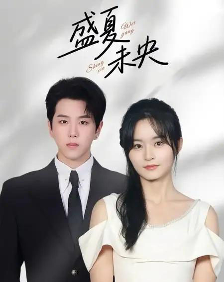 盛夏未央（80集全）罗嘉麒＆吴鑫-搜外项目网