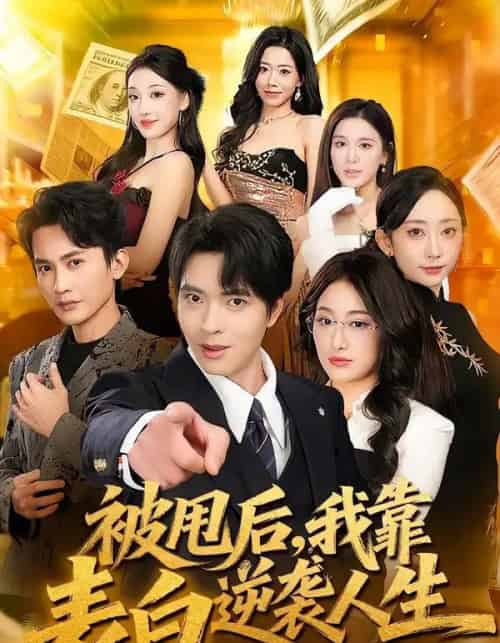 被甩后，我靠表白逆袭人生（73集全）何子杰＆祁雯-搜外项目网