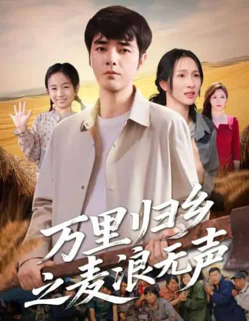 万里归乡之麦浪无声（61集全）朱碧漪＆董星辰-搜外项目网