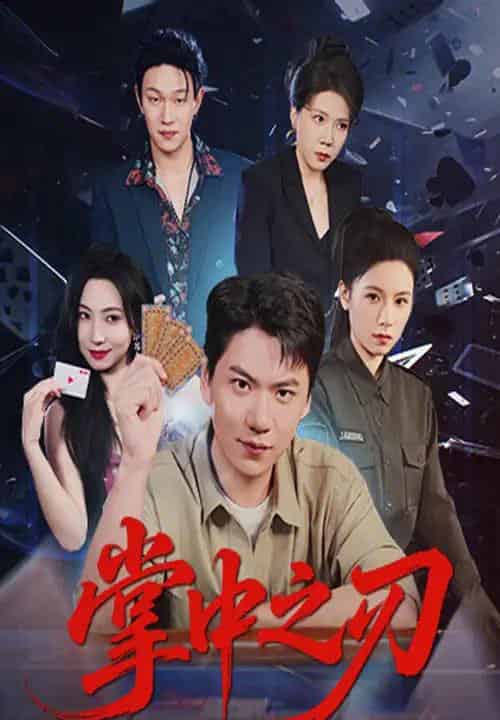 掌中之刃（57集全）尚青云＆秦潇一-搜外项目网