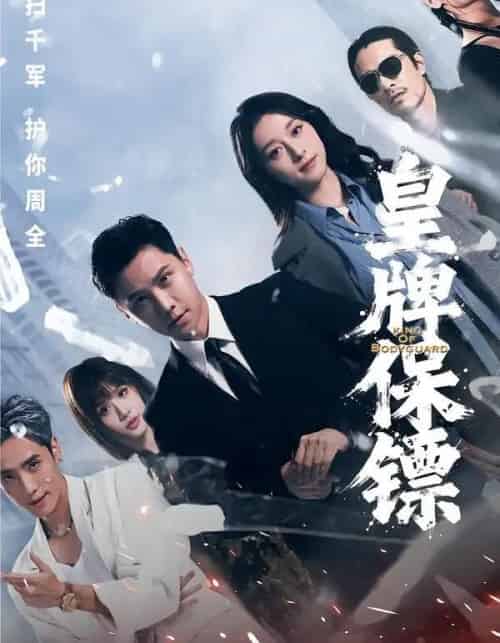 皇牌保镖（66集全）蒋亚兰＆许安泰＆丘子健-搜外项目网