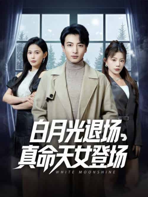 白月光退场真命天女登场（80集全）郑明洋＆钟芹＆乐宝＆张子唯-搜外项目网