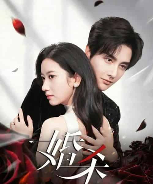 婚杀（60集全）林潇＆张张（张玉娇）-搜外项目网