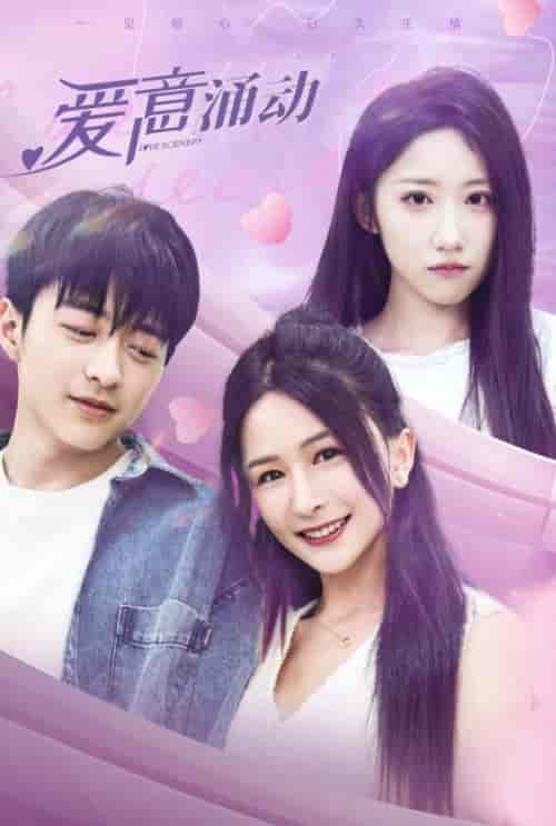 爱意涌动（85集全）许泽宇＆林玥-搜外项目网