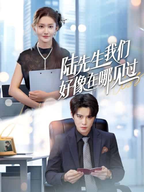 陆先生我们好像在哪见过（70集）刘美伦＆曲曦晨-搜外项目网