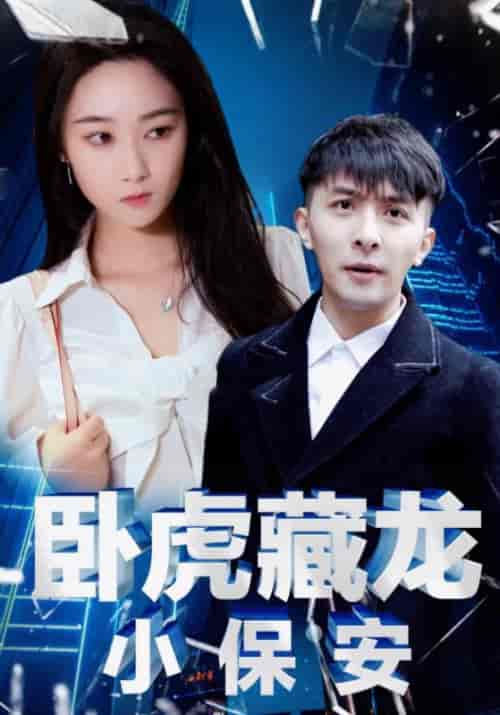 卧虎藏龙小保安（65集）林不凡＆安雪琪-搜外项目网