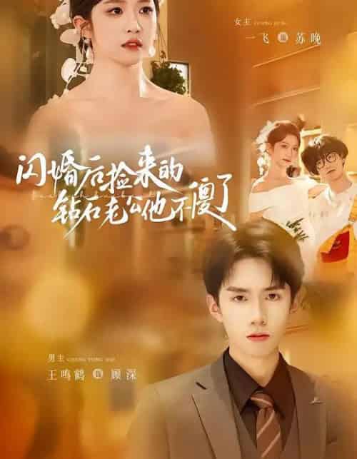 闪婚后捡来的钻石老公他不傻了（85集全）王鸣鹤＆一飞-搜外项目网