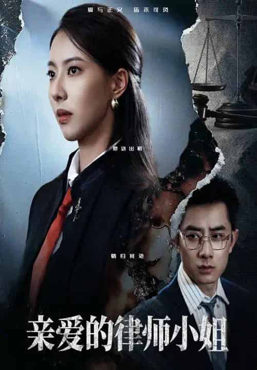 亲爱的律师小姐（50集）孙昊＆苏嘉欣-搜外项目网