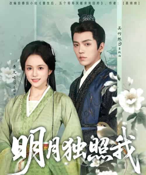 明月独照我（80集）吴竹熙＆韦文晴-搜外项目网