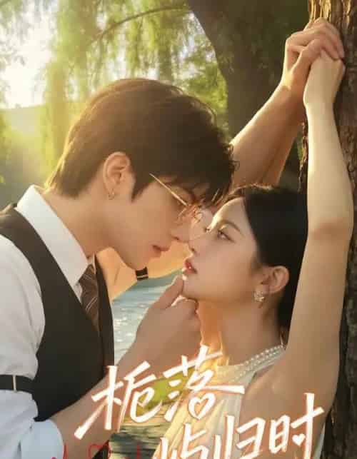 栀落屿归时（53集全）AI-搜外项目网