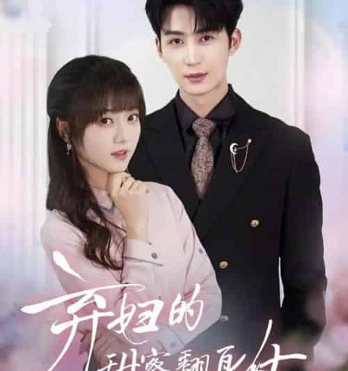 弃妇的甜蜜翻身仗(64集全)王煜可晴&刘梓恒-搜外项目网