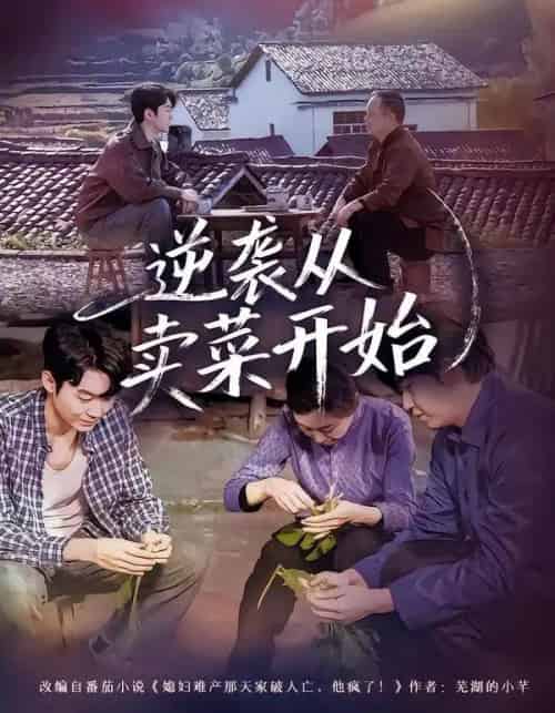 逆袭从卖菜开始（72集全）安嘉欣＆刘子轩-搜外项目网