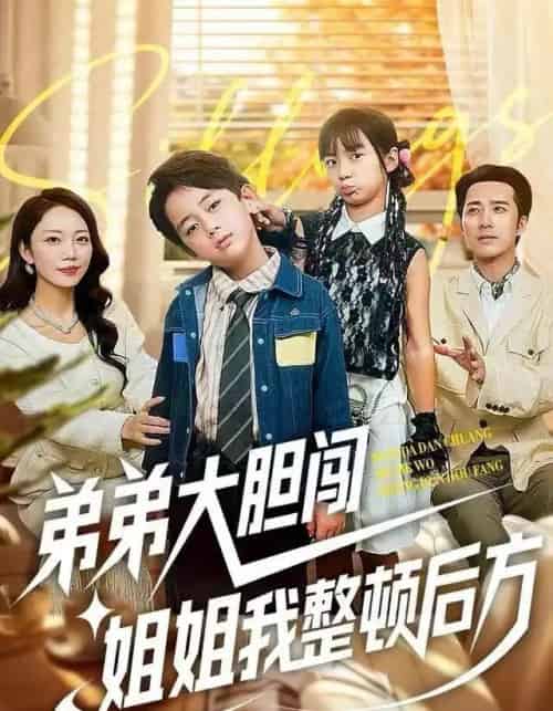 弟弟大胆闯，姐姐我整顿后方（100集全）李雨桐＆刘萧闻-搜外项目网