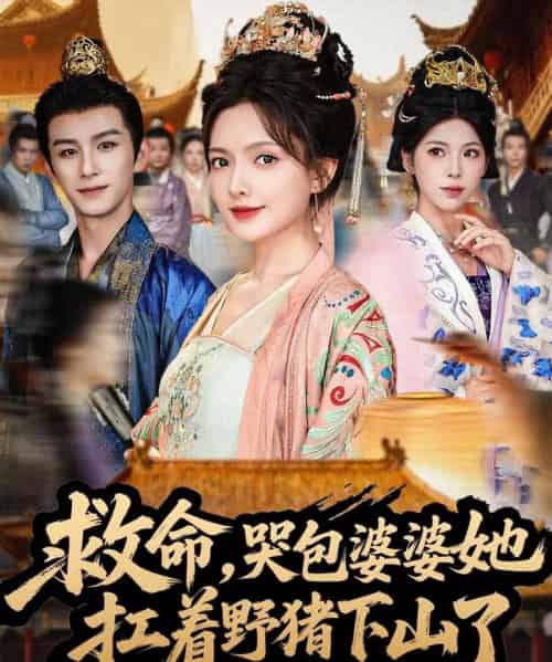 救命，哭包婆婆她扛着野猪下山了（80集全）漆培鑫＆陈露茜-搜外项目网