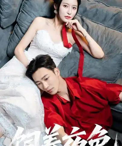 饲养夜色（86集）姚冠宇＆陈思澈-搜外项目网