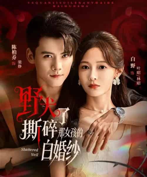野犬撕碎了那女孩的白婚纱(78集全)陈刚&白野-搜外项目网