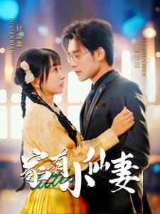 家有小仙妻（101集全）张力壬＆象韵洁-搜外项目网