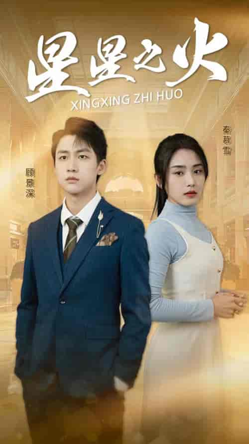 星星之火（32集）宋暖-搜外项目网