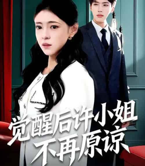 觉醒后许小姐不再原谅（102集全）何玘薇＆龙琛-搜外项目网