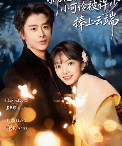 揣崽后，小可怜被许少捧上云端（81集全）纪俊良＆张紫璇-搜外项目网