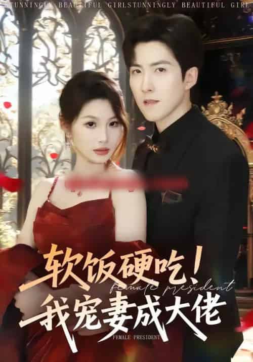 软饭硬吃！我宠妻成大佬（80集全）赵阿东＆黄盈-搜外项目网