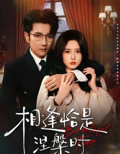 相逢恰是涅槃时(63集全)黄波&毛香淋-搜外项目网