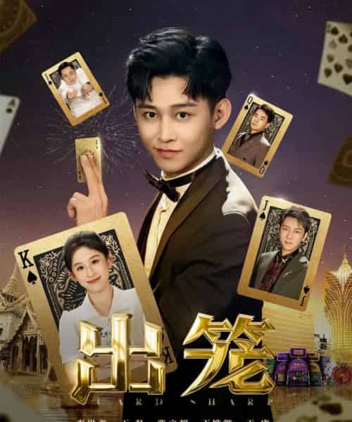 出笼(60集)丁磊&侯雨彤&刘凡-搜外项目网