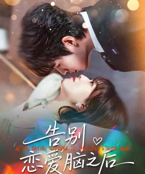 告别恋爱脑之后(60集全)曹渊&陈俊羽-搜外项目网