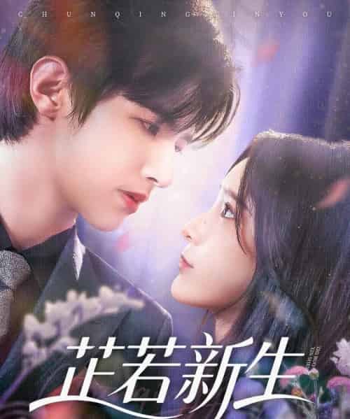 芷若新生（83集）苏和＆肖茜文-搜外项目网