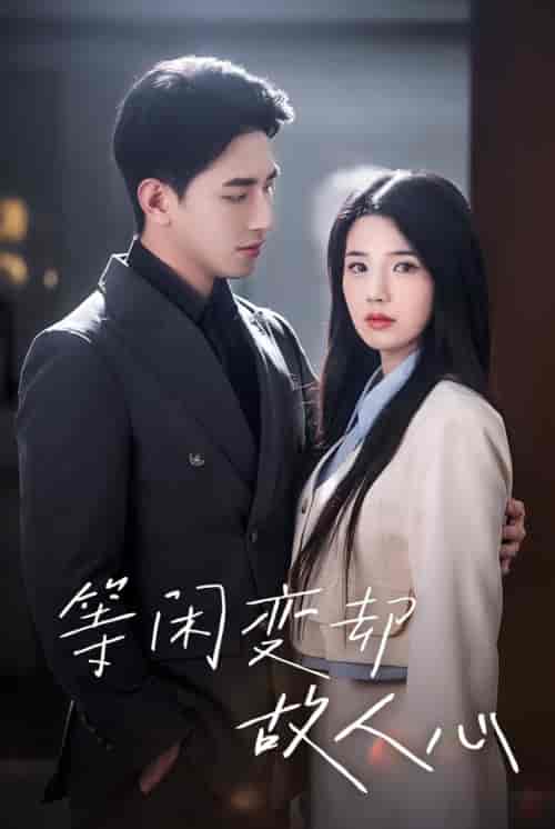 等闲变却故人心(30集全)王浩翔-搜外项目网