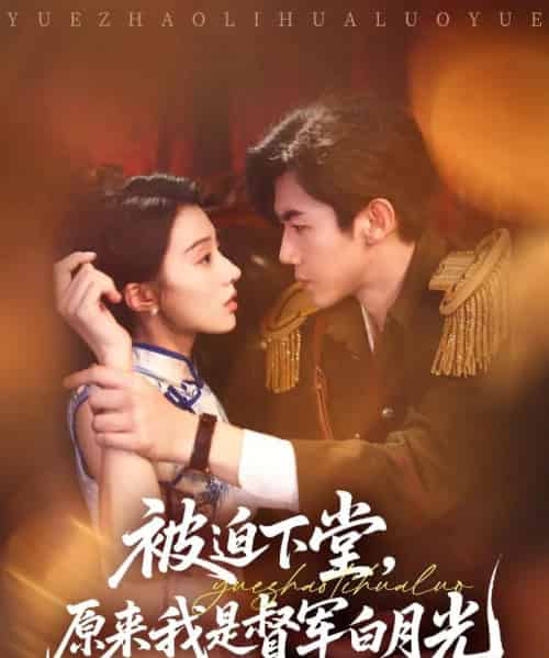 被迫下堂原来我是督军白月光(72集)张北浙&椿添-搜外项目网