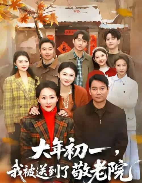 大年初一，我被送到了敬老院（60集全）邬倩＆彭振中-搜外项目网