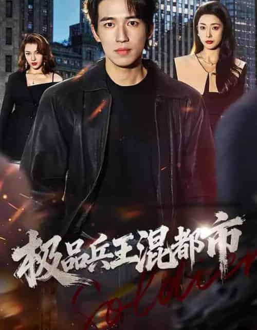 极品兵王混都市（72集全）邹佳欣＆钟远哲-搜外项目网