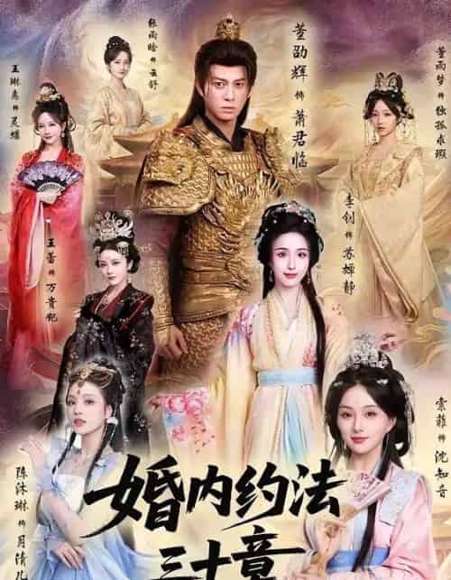 婚内约法三十章(83集全)董劭辉&李钊-搜外项目网