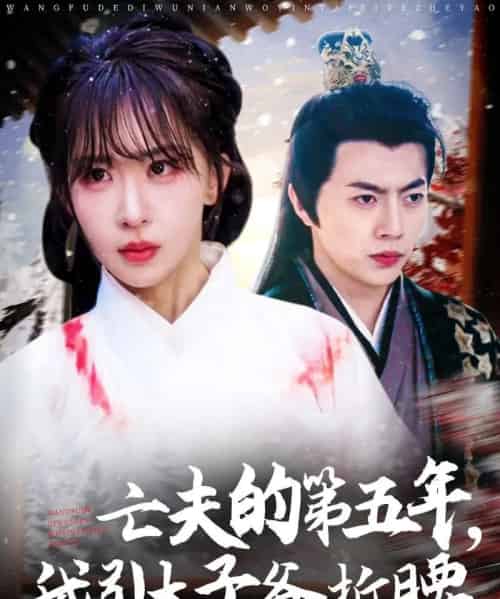 亡夫的第五年我引太子爷折腰（54集）房蕾＆张磊-搜外项目网