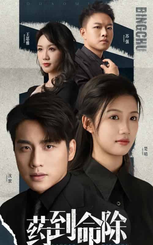 药到命除（72集）张宇翔＆黄则灵-搜外项目网