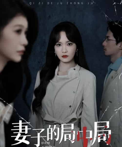 妻子的局中局（36集全）彭慧玲＆袁川航-搜外项目网