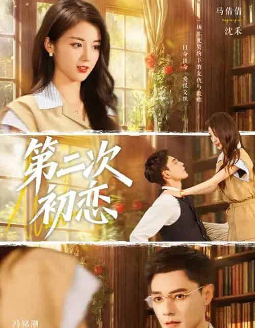 第二次初恋（66集全）马倩倩＆冯铭潮-搜外项目网