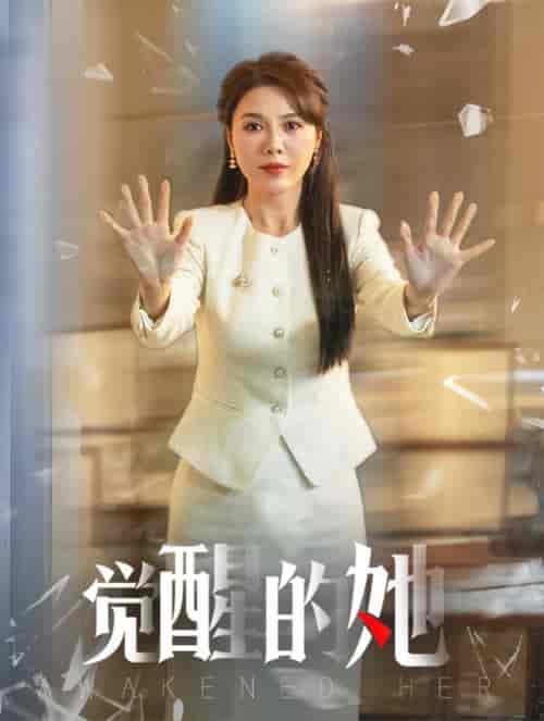 觉醒的她（40集全）刘家呈＆李靓雨-搜外项目网